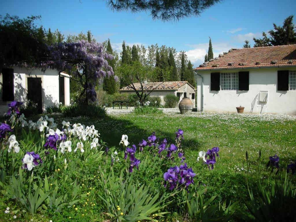 Vignagrande Agriturismo Saturnia Oda fotoğraf